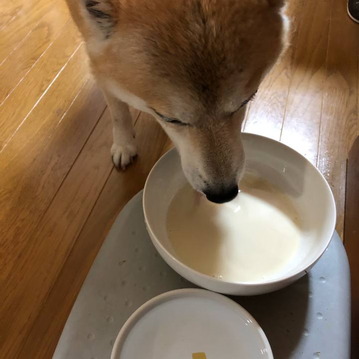 888d1531 9438 47fc 9637 4640addb102b 1597296340431