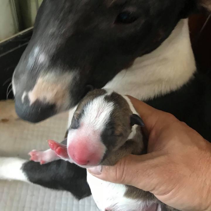 888d9703 18e0 4113 9cec e8833dc09700 1546136083491