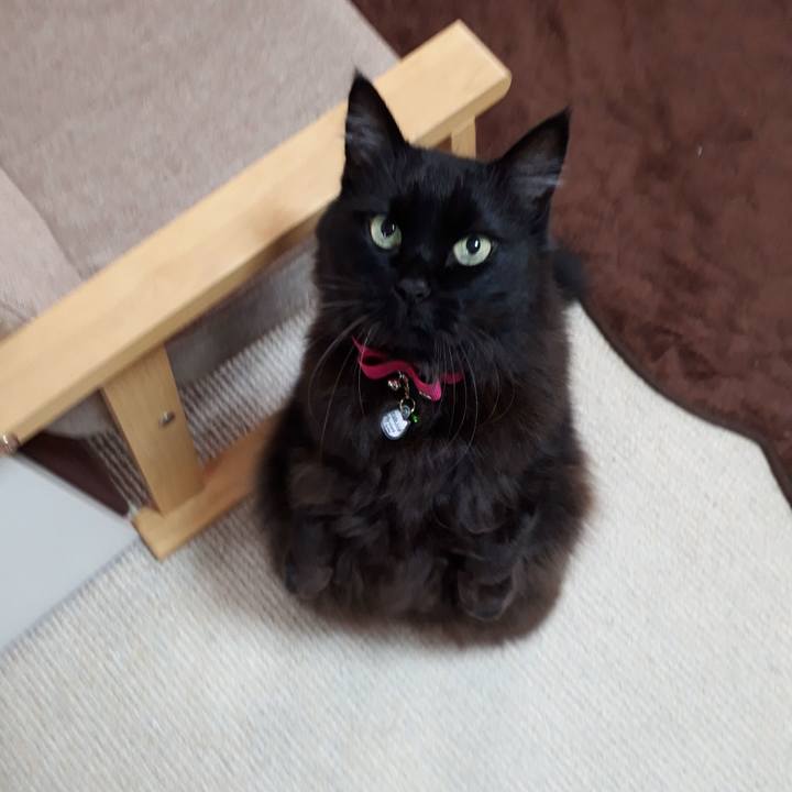 888da7a2 1c9d 445e 85b4 092d28bb9276 1516775450829