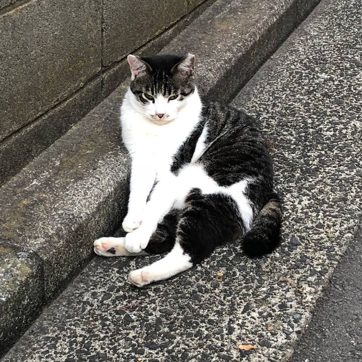 888dd62f 75eb 4455 b4f6 6f63d6510302 1531829647926