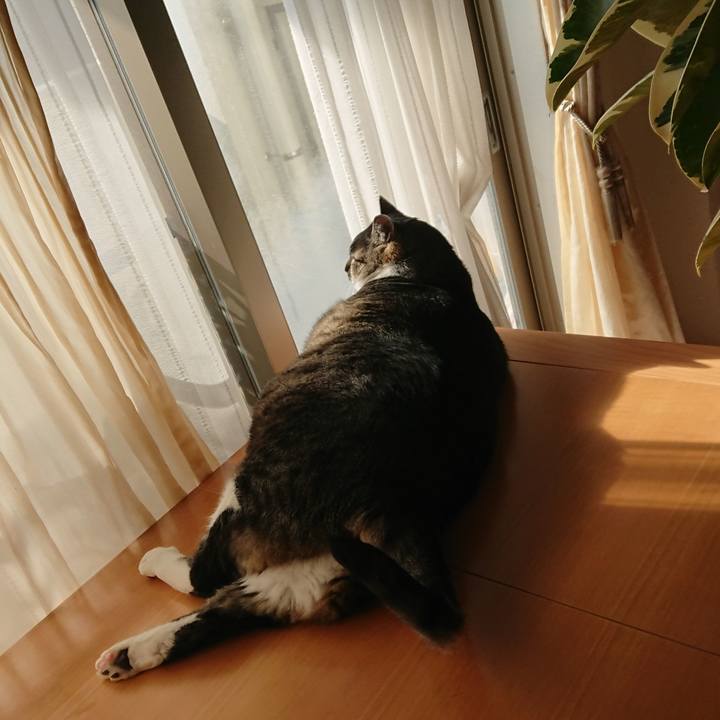 888de5b3 9edd 43da b416 db96fdbb1013 1557441632757