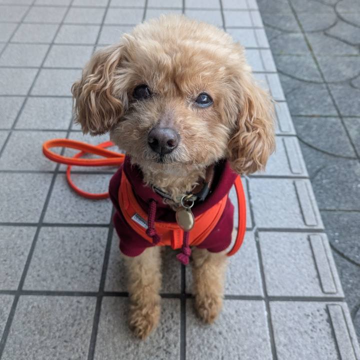 888e077e 8ed2 4102 bc99 c7db263cdca5 1768174308064