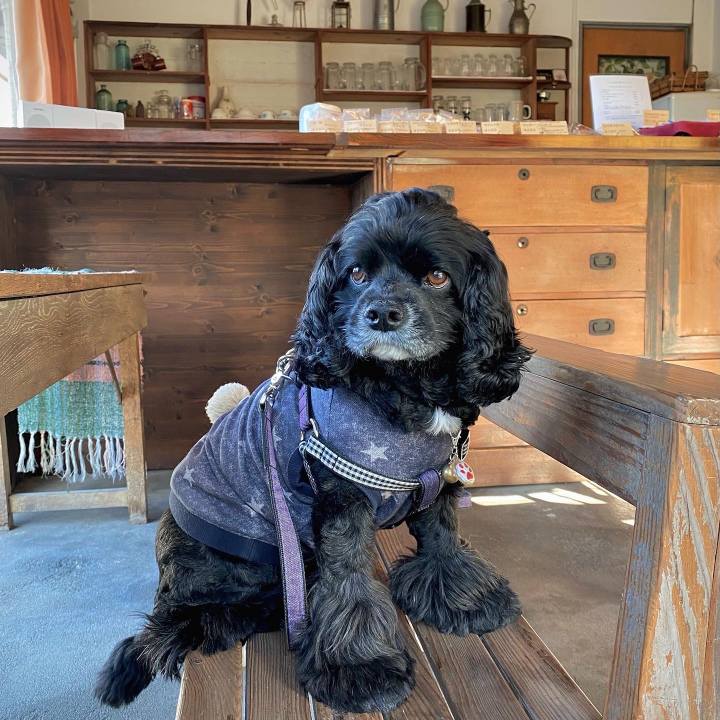 888e0f42 72e0 4f0d bc9f a0dc024c12f8 1637663945882