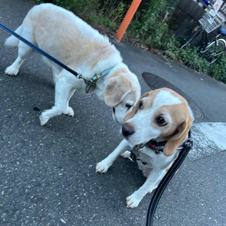 888e1bdb 8771 4d89 a82e a8302e900037 1752120217969