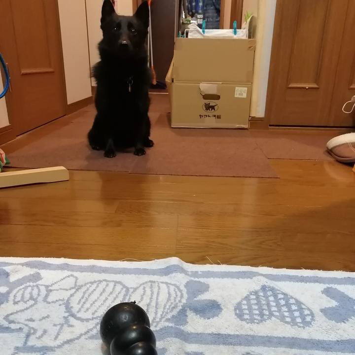 888e1f54 1dd6 43ec b45c ab61e0024b3d 1609197675788