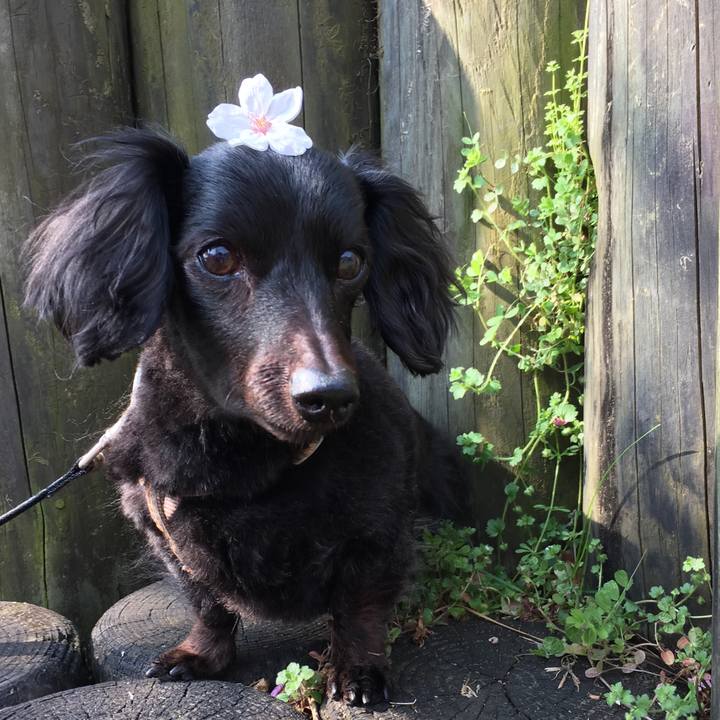 888e527e eee0 4b9b b0ca 889137cddd4c 1586046441267