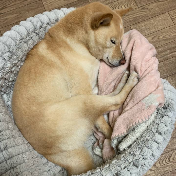 888e5525 972b 4c99 9fab 2c1bf367e727 1648903666144