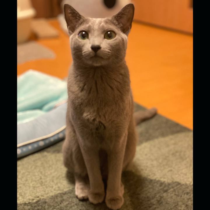 888e8a8d 054a 45f2 bff0 64a2c76b8afa 1638680653892