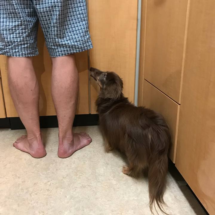 888e8b5c 0f70 4f38 8e5c 561447d1136f 1533382682347