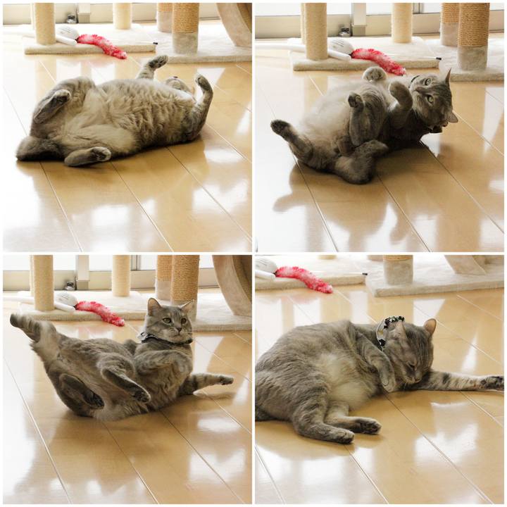 888e9b48 5456 4d91 8fc9 3f50f52317a3 1652327041736