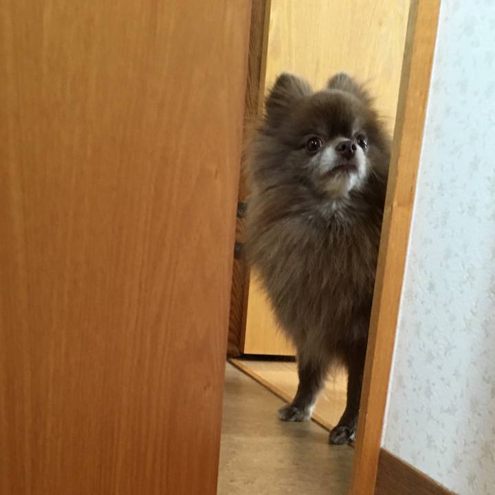 888ecd3c 5534 42bf 89c1 4f3a017780e4 1522998624020