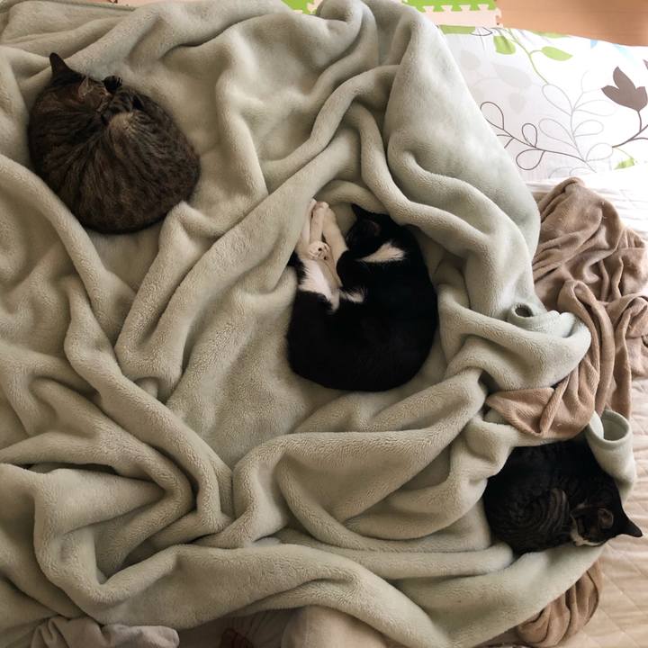 888ecec8 7023 4648 9c0b e98fb437fc75 1560545240468