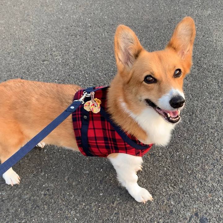 888f232c ab47 431e 9f77 e2d08d67f45b 1629284559288