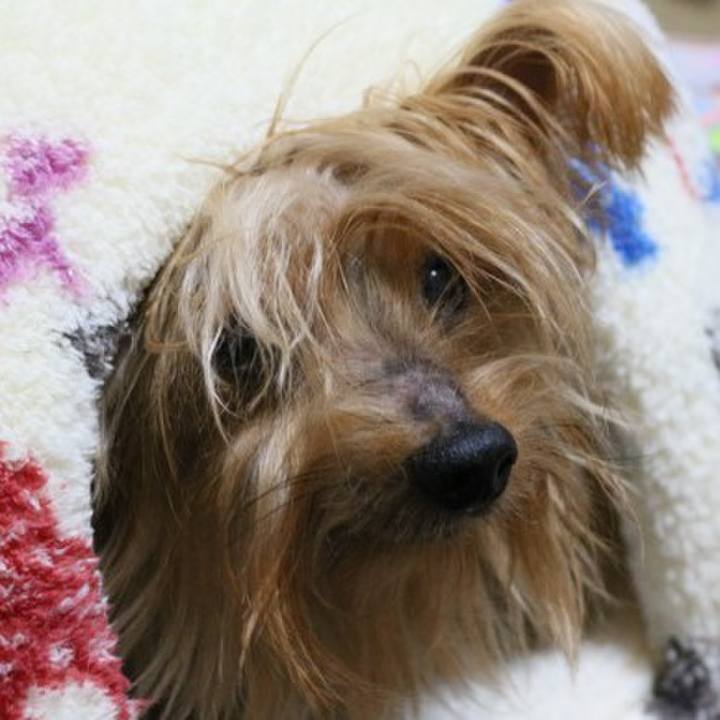 888f27f7 ac63 414c 8fc4 d77b496f077c 1629605514798