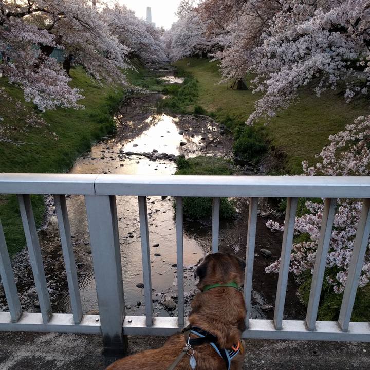 888f2fc0 ca58 4758 9512 cd67c25b647d 1555065383399