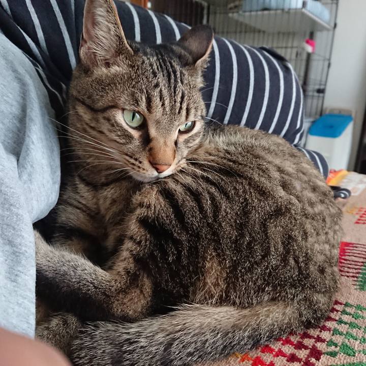 888f44ed e8a1 4644 88a5 43cba0c1830f 1593841165618