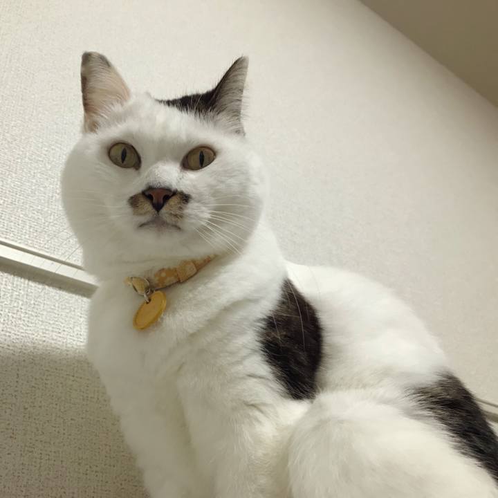 888f7666 2e07 4616 9d41 55c25118b6ca 1575780507288