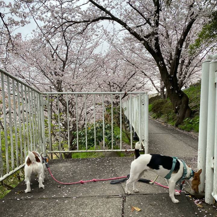 888f7b87 7ded 409b bf6e 90943af7179c 1774997468931