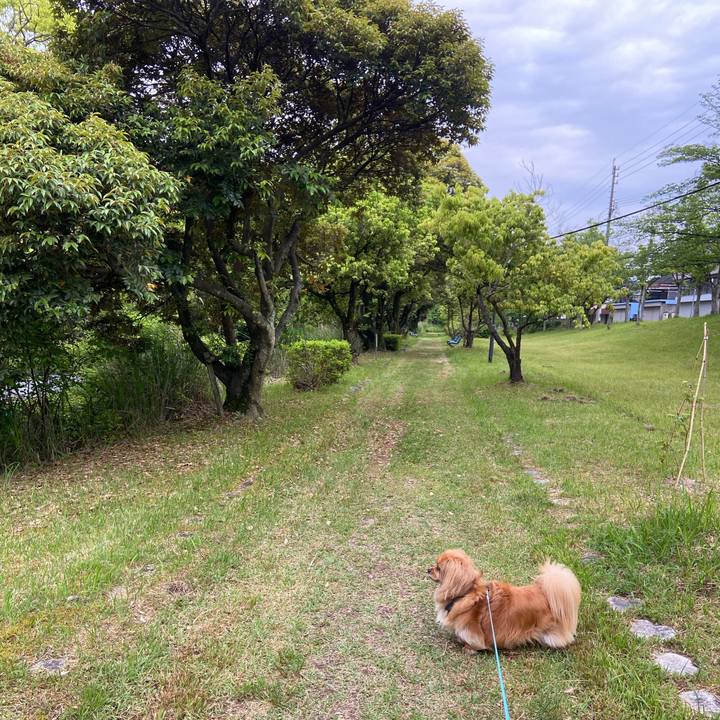 888f7bd5 c709 4979 8d7b e57a8f258791 1590444903423