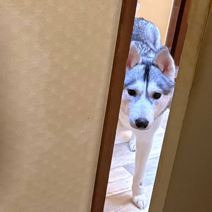 888fcbab 0887 428f 8e05 da7cbc546a27 1769829007380