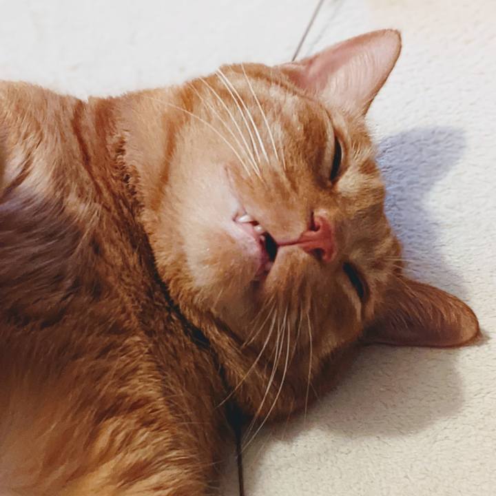 888fcf11 3ab1 471b a96a 5dbcf7f2729d 1627998586259