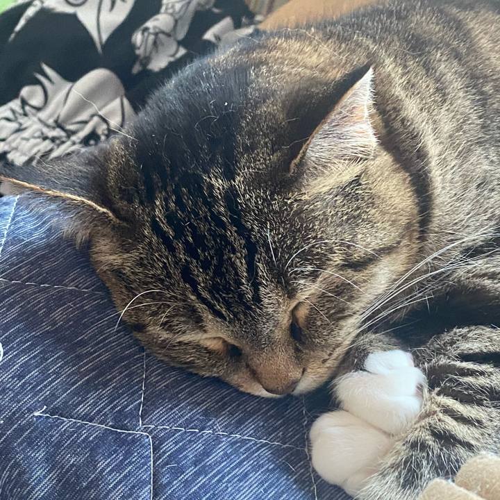 888fcfc6 57ec 46f3 97c5 14e504864d07 1624309926228