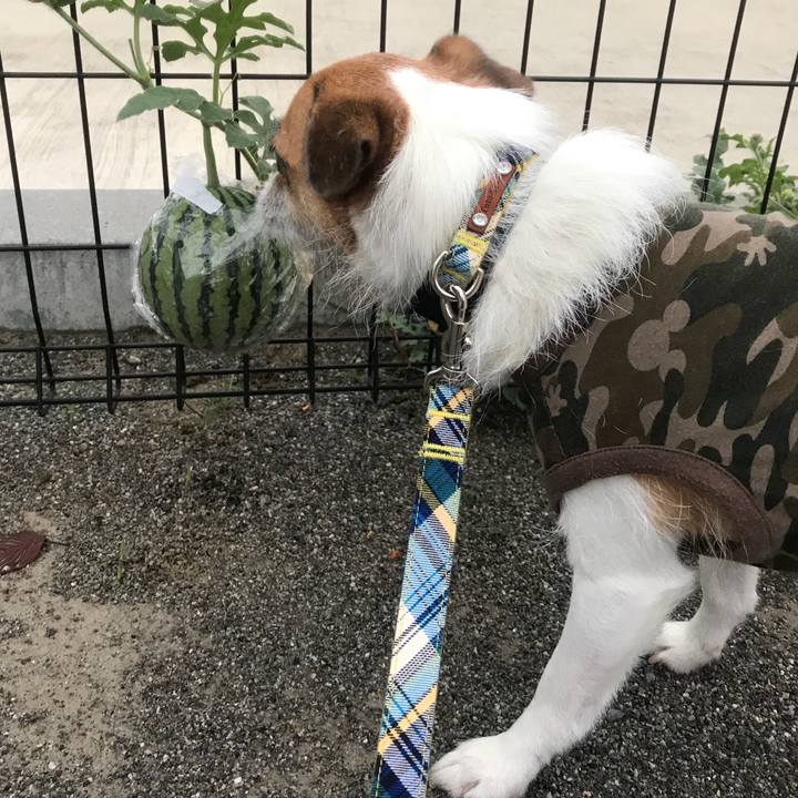 889027e4 ebd3 48f6 9c61 b60f3d7d46a4 1535847663474