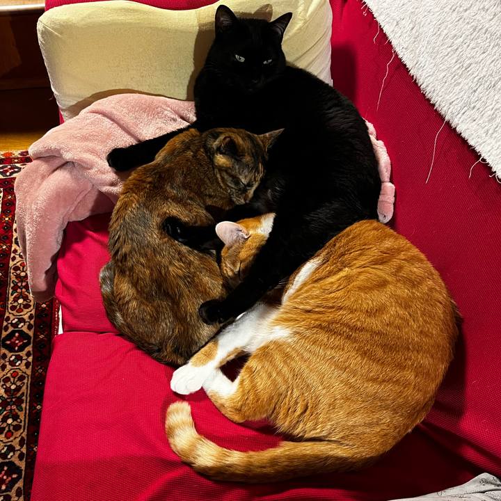 88902aab f742 40ce 8aa3 8e0f65961d59 1733727162276