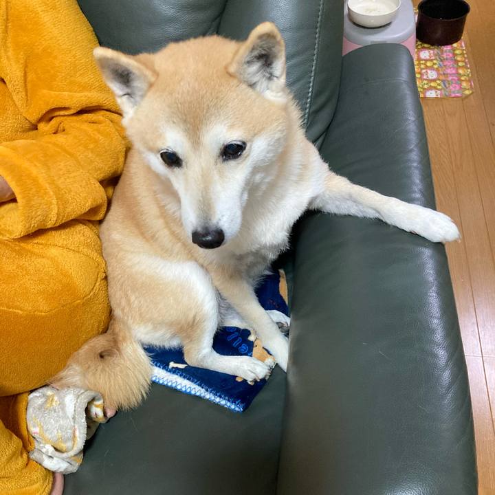 88902b20 ddac 4808 9b6e 015b59e1c19a 1612594548958