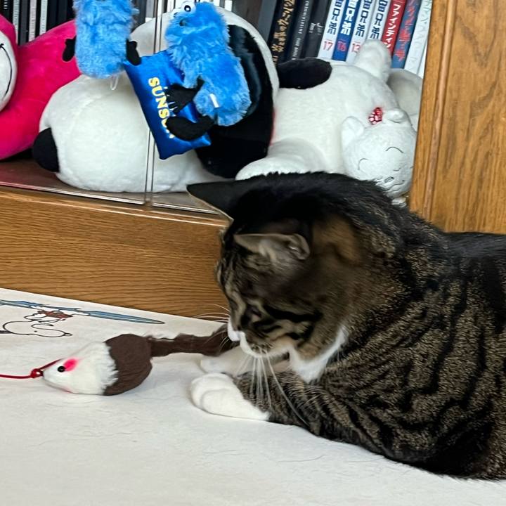 88904a4f a88f 4415 a49a b6b04d5ad4dd 1768955114875