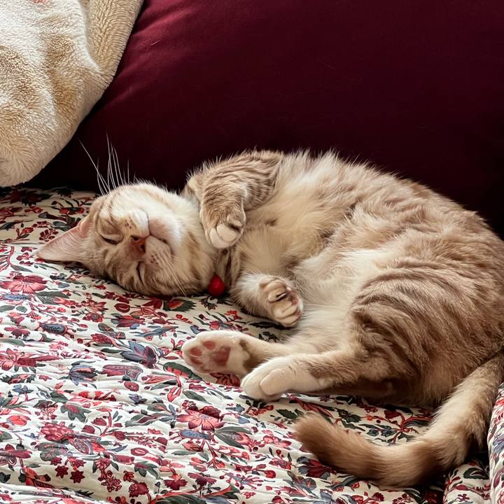 88904edd ff59 4fd0 90c8 a6649c68b2ce 1650695974206