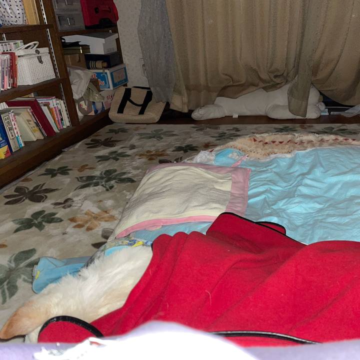 88909489 9f3d 45ee 9bad 0c825830aef6 1671313040490