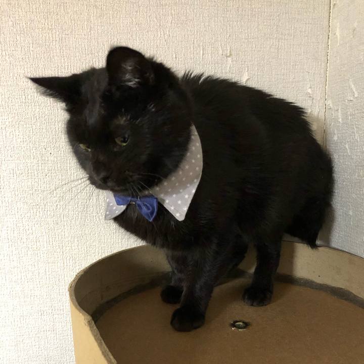 8890bb5b 8918 4106 863b 99c804e715fe 1573675633135