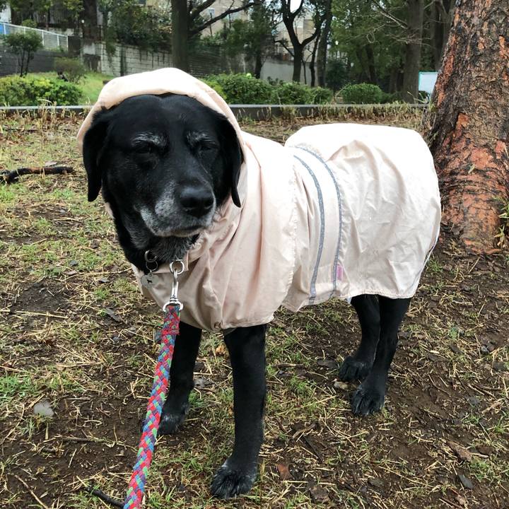 8890d169 a145 4d84 96dc 1433279bec84 1614695110067