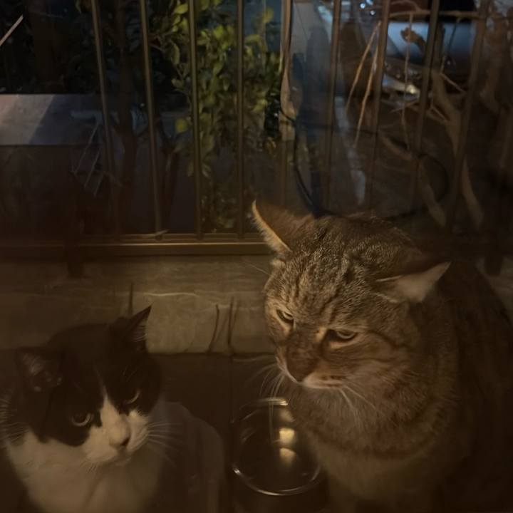 88913e1b d3b3 4d41 b5ad 9ff182a071bd 1771758087053