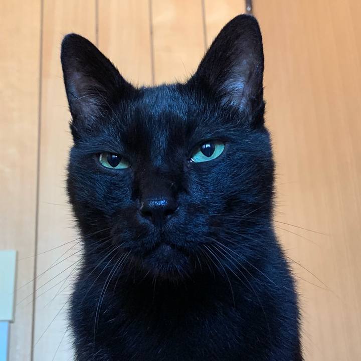 88913f55 f226 46dd af48 7deb04f2aa88 1540346163552