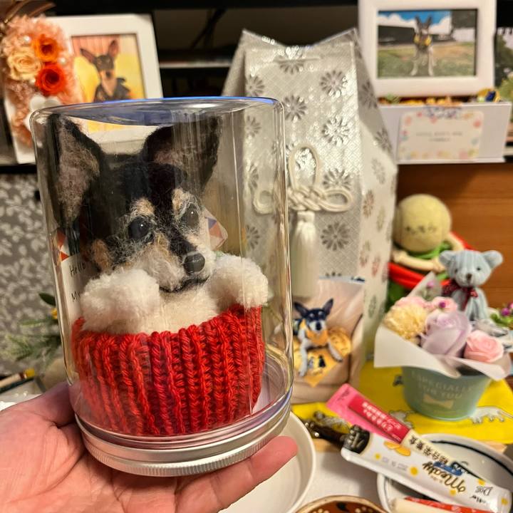 8891439f 9041 46b5 ae44 1b2e26f57209 1660483546541