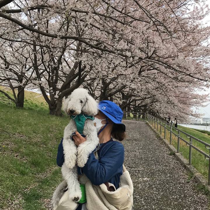 88917e8e f6c6 4ee9 85bb bd472cecf110 1680157890688