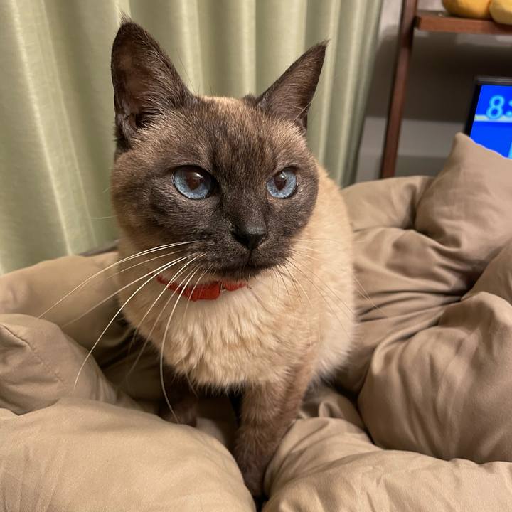 88919a51 1f0f 4da2 88bd 8ab71f63edcc 1774871961398