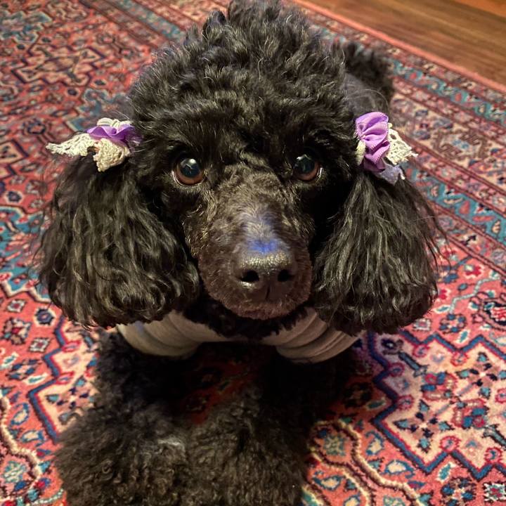 8891bd0c 488f 4e8b 8701 5e67be171c6d 1618097631478