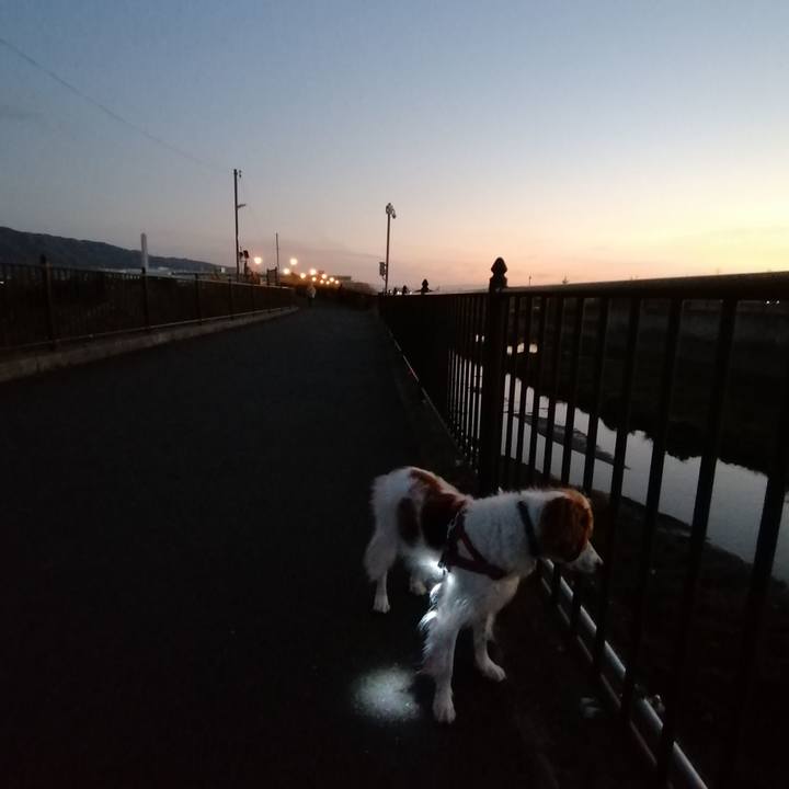 8891c7e3 b1ca 49e4 99cd 23afcfec8c20 1607858481565