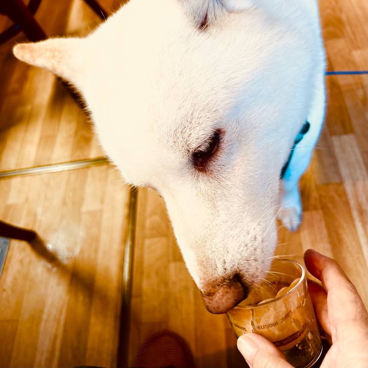 8891ca4d 599b 4021 8de4 ca2a7bf69296 1696289037642