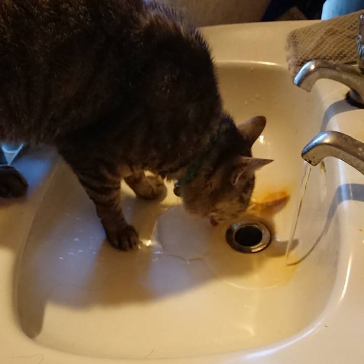 8891ed0f dbfd 4340 88c3 c9cb39958fe7 1564948853989