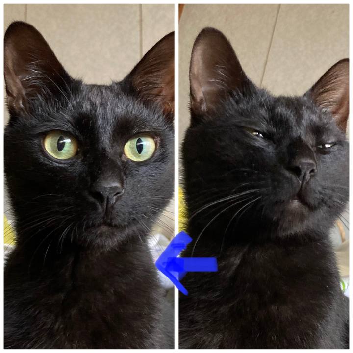 88921449 1ebb 4821 acc2 1885690d23a5 1684390963667