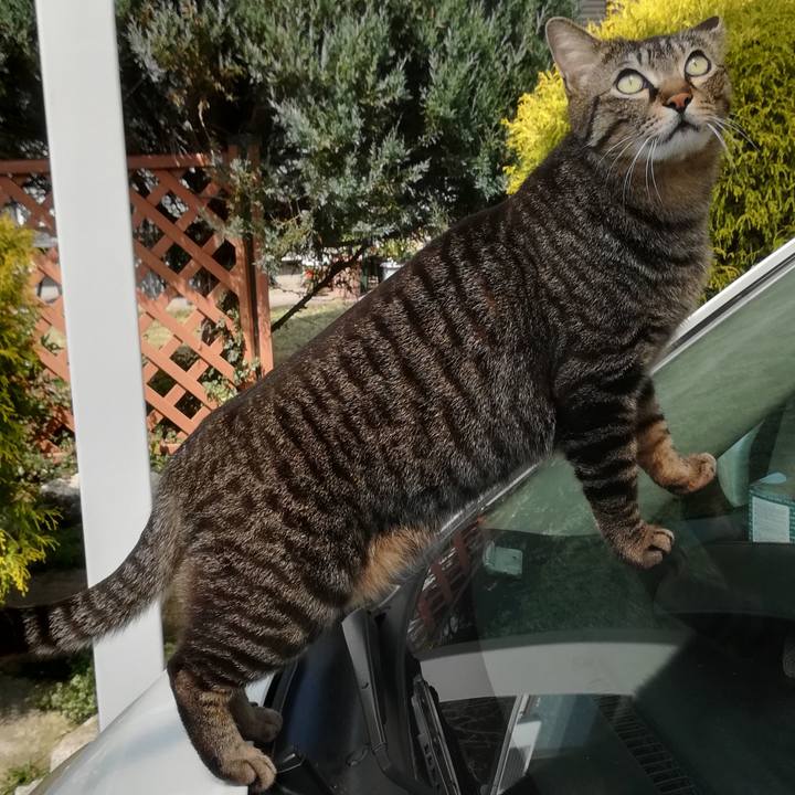 88922bdc 8f06 4924 9e28 75f4d9db880f 1522125477750