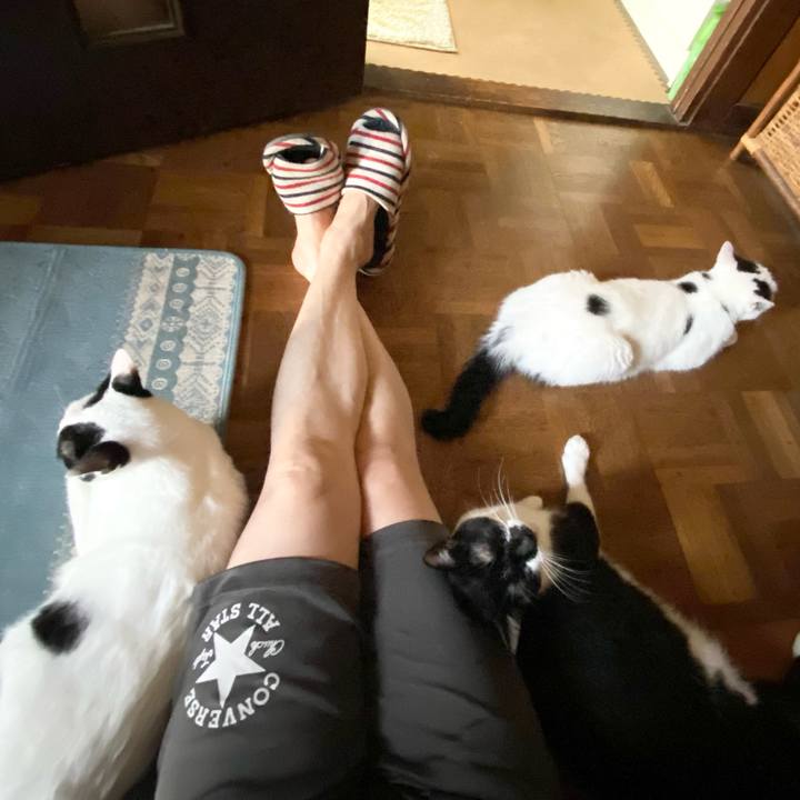 8892347f cdf5 44e3 babe 7fd5a81215fe 1660013192761