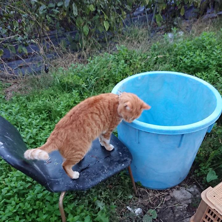 8892391b 090a 4ee3 8ffb cab646b4c051 1571558530871