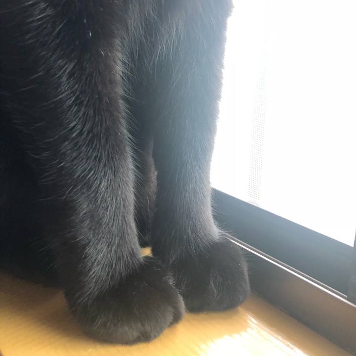 88928b6b 47dc 4c39 8e40 c334c6cc262b 1538545759043