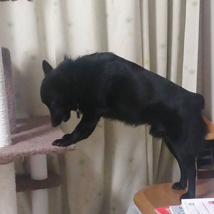 8892977c e8e0 4ed6 8bec 74d635e4ea9f 1639778453476