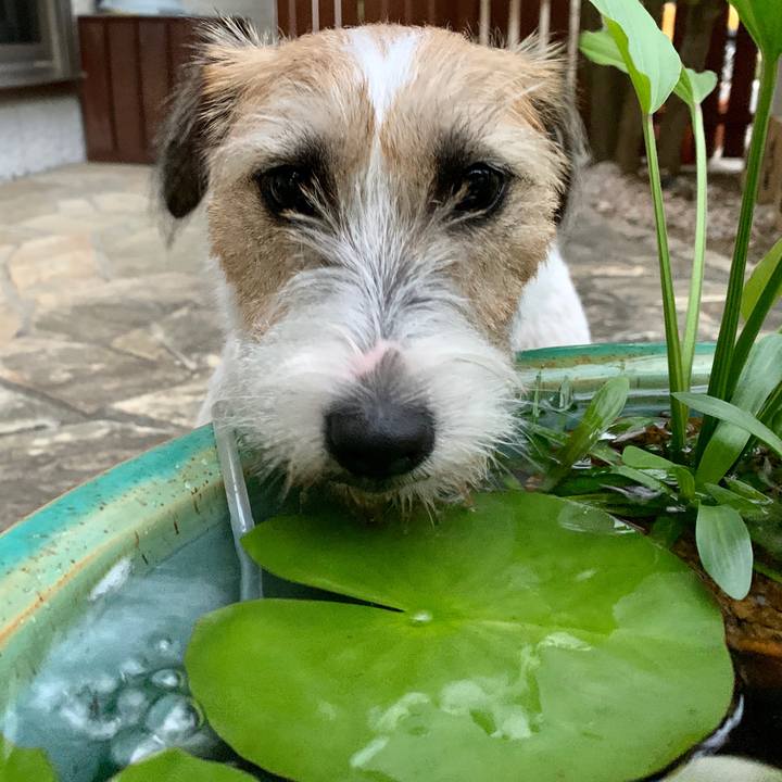 8892d3f3 cae2 478f ad30 49a4ece57117 1601812755298